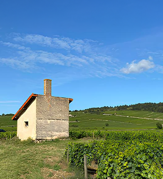 Philippe Garrey是家族的第六代，其家族世代耕耘之莊園位在梅克雷產區(Mercurey Appellation)南端的Saint-Martin-sous-Montaigu，他負責管理家族酒窖。Philippe與父親共事，直到2005年父親退休時，他全面接管了酒莊；同年，酒莊開始使用生物動力法。他2011年成為夏隆內丘(Côte Chalonnaise)第一位獲得生物動力認證的釀酒師。在2011年，酒莊成為Côte Chalonnaise首家獲得“Demeter”生物動力認證的酒莊。

Philippe獨自經營著4.5公頃的老藤葡萄園，園中葡萄藤樹均齡為60至100年，與鄰近的酒莊不同，他在自家黏土石灰岩地塊上以手工採收，並不打算擴展葡萄園，更喜歡維持一個他可以獨自照顧的精耕規模。

Philippe致力於維護葡萄藤、土壤健康，以及果實純淨度，這使他能夠在酒窖中少作干預，溫和地引導葡萄酒自然發展，最終成為閃耀動人Pinot Noir、Chardonnay和Aligoté葡萄酒。葡萄採用手工採摘，僅使用天然酵母發酵 。根據年份和批次，經常使用全串發酵；紅葡萄酒在橡木桶中陳釀12個月，新橡木桶則用根據不同批次運用，使用率在10至50之間。收成的葡萄藤都很老。Decanter將他列為Mercurey產區最佳生產者之一，他所生產的葡萄酒曾在巴黎 多家米其林星級餐廳中亮相。