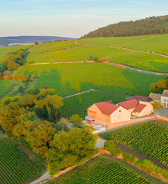 Domaine Comtesse de Chérisey 坐落於 Puligny-Montrachet 與 Meursault 交界的山麓地帶，位於 Burgundy Côte d’Or 山腳下的 Meursault-Blagny。酒莊由 Hélène Martelet-de-Chérisey 與 Laurent Martelet 夫婦共同管理，而這片土地的葡萄栽培歷史可追溯至 14 世紀，最早由居住於此的教會僧侶開墾、植下葡萄藤。得天獨厚的獨立山坡地形與細碎的微型地塊，形成多層次的溫度落差，孕育出獨特的微氣候，其平均溫度、朝向與土壤組成皆與其他 Burgundy 產區略有不同。此處以黏質石灰岩與灰泥為主的土壤，特別適合 Chardonnay 生長，使酒莊出產的酒款以光澤感、圓潤度與結構平衡著稱。

在這片 Meursault-Blagny Premier Cru 一級園中，Laurent 與 Hélène 悉心栽培的葡萄藤多半超過 60 年樹齡，深根系深入岩層，充分吸收礦物元素與山坡的能量。夫婦二人秉持尊重風土與自然的理念，以有機方式耕作，手工採收並嚴格挑選每一串葡萄。釀造上堅持傳統工法，以溫和的壓榨方式取汁，並避免過度澄清或過濾，讓葡萄酒以最純粹的姿態展現土地本身的魅力與層次。

酒莊名稱 “Comtesse de Chérisey” 具有深刻的家族意義，是為了紀念前任莊主——Hélène 的母親而命名。她承襲了這些珍貴的葡萄園，並在時光流轉中將其交付給現任莊主夫婦，使這片歷史悠久的土地得以由下一代延續與守護。這份情感與傳承，使酒莊不僅是一個生產葡萄酒的地方，更象徵著家族歷史、風土精神與時間沉澱下的深情連結。