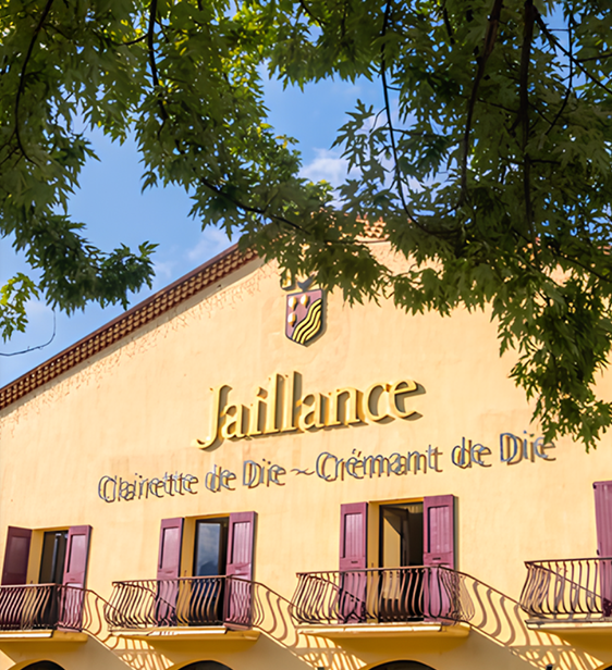 雅釀絲酒商(Maison Jaillance)前身為1950年Henri Bonnet推動、由德隆省(Drôme)Diois地區266位葡萄酒農所組成的區域合作社，品牌發展至今已將近80年，目前擁有200多名葡萄酒生產者和100多名員工。為目前法國提供Loire Valley、Bordeaux、Rhône Valley產品的大型氣泡酒商。最初發跡於位在法國南部介於阿爾卑斯山及普羅旺斯間，Vercors山旁德隆河谷地的葡萄園(這裡以生產許多著名且高品質的葡萄酒聞名)。Jaillance為忠於風土精神的氣泡酒專家，最廣為人知產品Clairette de Die，酒精度低 (7.5度左右)， 微甜，果香奔放，主要為Muscat Petit Grains葡萄品種釀造而成，在1965年打開市場能見度，讓Clairette de Die從一個地方性產品開始轉變為全國性品牌標竿。

“Clairette de Die”原本只是德隆地方的名產氣泡酒，因為合作社將地方風土結合，設立店門通路，讓消費者直接品飲感受，在銷售過程中，將地方風土結合產品推廣，不僅充分說明商品獨特性、提升銷量，也增加品牌知名度。成功的行銷策略，使Clairette de Die風靡了整個法國。2001年成立品牌Jaillance，“Jaillance”這個品牌創建有兩項目的：一是為了讓公眾更易釐清，因為原本“Clairdie”和“Clairette de Die”在發音上很接近容易混淆；二是新品牌讓合作社能夠整合多種AOC氣泡酒上的標籤，讓標籤一致化，使用“Signature”(標識)，表明Jaillance是一個品牌。除既有AOC(歐盟標準AOP)氣泡酒外，不同的Jaillance酒款也陸續研發中，例如：2017年推出、因應INAO新規定產生的新品玫瑰紅葡萄酒Clairette de Die Rosé Vintage。

發展到目前為止，Jaillance早已不再是區域型的葡萄酒產銷組織，品牌下提供更廣泛的氣泡酒系列。例如：收購位於吉倫特河畔布爾(Bourg-sur-Gironde)的Brouette酒莊，專門生產波爾多氣泡酒(Crémants de Bordeaux)，以確保對葡萄酒質量和陳釀過程的最佳控制；與Vouvray和勃根地氣泡酒(Crémant de Bourgogne)產區的一些最佳生產商簽署了合作協議，提供葡萄酒產線規格；在Peujard 建立起新的生產基地，用於生產當地氣泡酒。透過建立統一品質標準，確保不同產區產品的一致性。擴大產品範圍同時，也為各地區域性酒款提供品牌發展的堅實基礎。