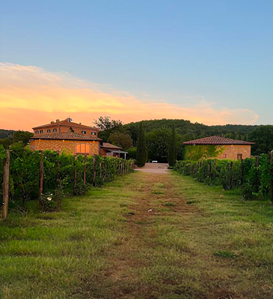Le Potazzine Gorelli字源“Le Potazzine”為在托斯卡納(Toscana)鄉村無處不在、色彩豐富的當地特有種麻雀。女主人Gigliola Gianetti兩個女兒Viola和Sofia就像小鳥兒一樣忙碌而活躍，被她們祖母親暱稱呼為“ Potazzine”，該莊園標籤描繪了兩隻可愛小鳥並排坐著，象徵著此地生產之葡萄酒充滿活力且獨特，因此成為莊園的名字。Potazzine是年產量僅35,000瓶的托斯卡納微型酒莊。

莊園成立於1993年，目前由母親Gigliola(母親)與兩個女兒Viola、Sofia共同經營，延續著家族傳統，莊園釀造葡萄酒的宗旨，就是要以最自然方式釀造葡萄酒。葡萄為有機栽培，發酵過程使用天然酵母，再加上Brunello和Rosso di Montalcino葡萄酒的傳統，在中等尺寸的Slavonian橡木桶中長時間陳釀，為葡萄酒生產創造了經典、平衡、順滑丹寧、有形且可識別的卓越風格，展現出絕對技巧。

Montalcino地區罕有有釀酒師莊主，但是Le Potazzine前代莊主朱塞佩(Giuseppe Gorelli)曾在Consorzio Del Brunello擔任釀酒師15年，在1980年代後期才回家經營他父親位於Castiglione Del Bosco附近的小莊園杜特·波廷(Due Portine)，並開始釀造傳統的布魯內羅(Brunello)古品種葡萄酒。而後在1998年，因朱塞佩(Giuseppe)的父親把 Due Portine售出，夫婦轉而將精力集中在經營本莊 Le Potazzine；莊園發展與家族史緊密結合：1993年種植葡萄藤，時逢大女兒Viola出生；擴增莊園從原本的3公頃為5公頃時、買入2公頃莊園土地的1996年，時逢小女兒Sofia誕生。目前莊園在母親與女兒共同經營下，成果豐碩。